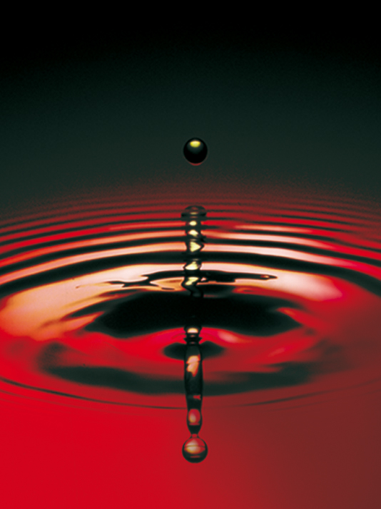 VisuelCouveFlavy gouttes