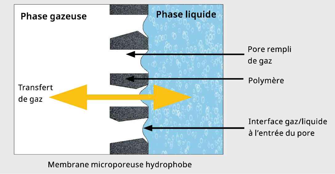 principe lyna pervelys contracteur membranaire gaz dissous vin