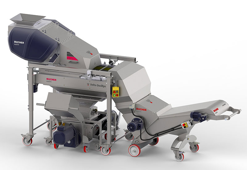 delta oscillys eraflage raisin baie vin bucher vaslin