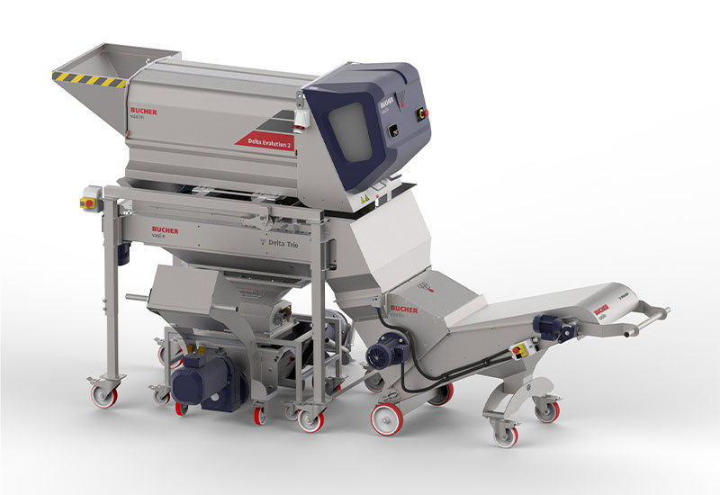 erafloir raisin baie vin delta evolution bucher vaslin