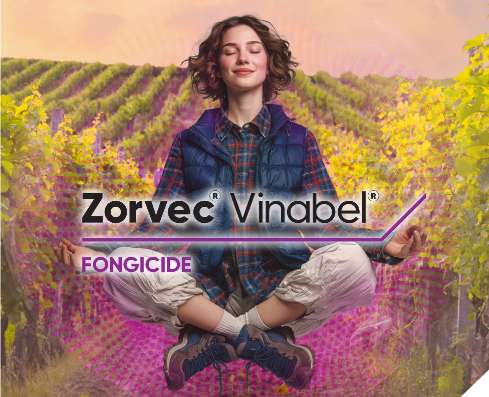 Zorvec Vinabel anti-mildiou vigne