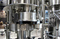 gai boucheuse multi tete 02