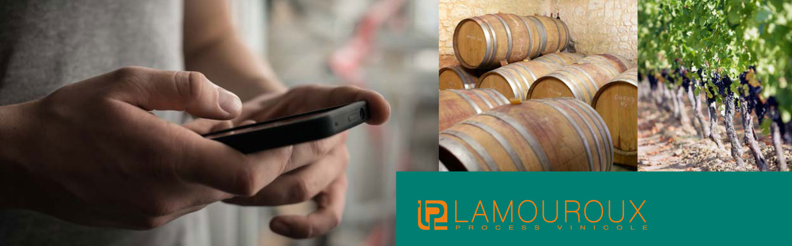 lamouroux invitation sitevi 2015