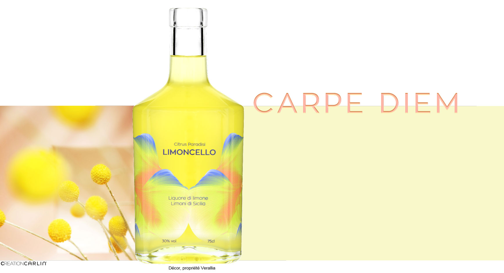 carpe diem carnet de style design bouteilles verre 2018