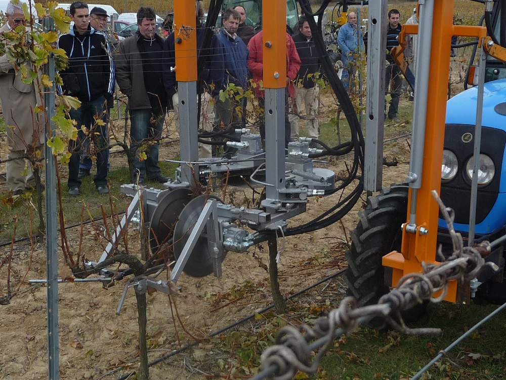 la taille mécanique de la vigne
