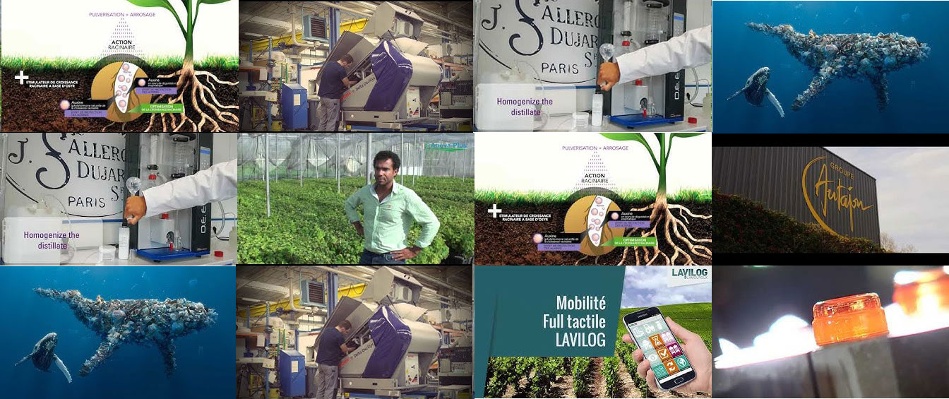 Chaines Vidéos Viticulture Vinification Vin Vignovin