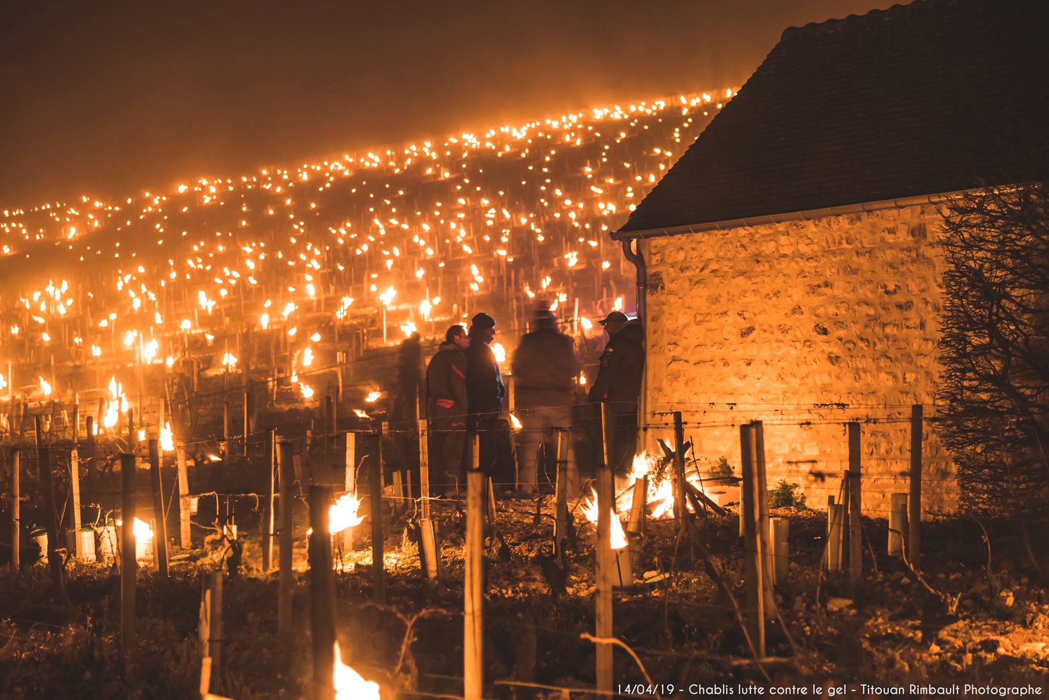 vignerons lutte contre le gel vigne chabli titouan rimbault