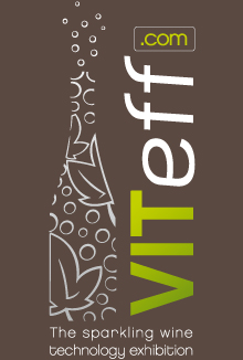 logo viteff 2013