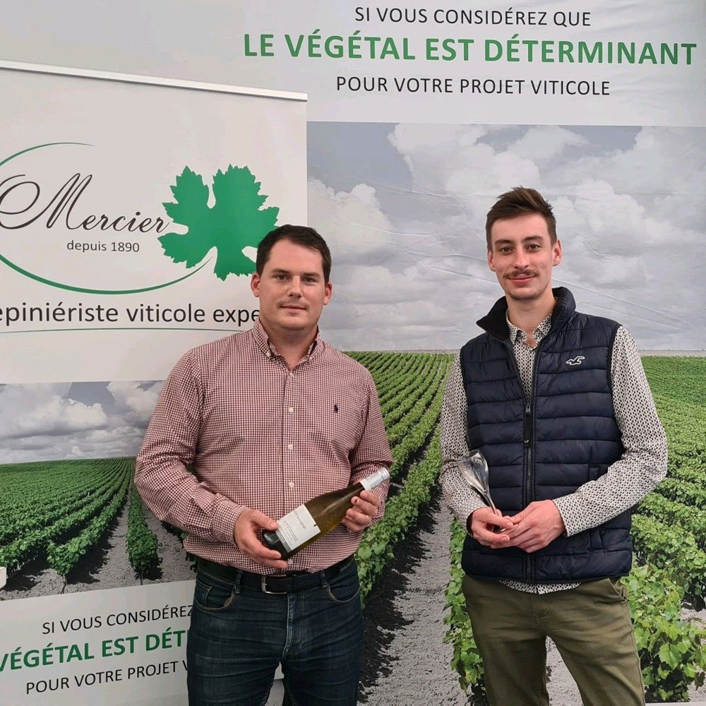 mercier cepages resistants champagne