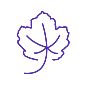 pepinieres-viticoles-vigne-icon-v_1523644069