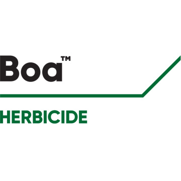 Boa™ Herbicide pour la vigne à large champ d’action qui appartient à la famille des triazolopyrimidines. Essentiellement absorbé par voie foliaire et dans une moindre mesure par voie racinaire. Efficace contre le désherbage des graminées et des dicotylédones (Erigéron, Morelle, Séneçon, Crucifère) 