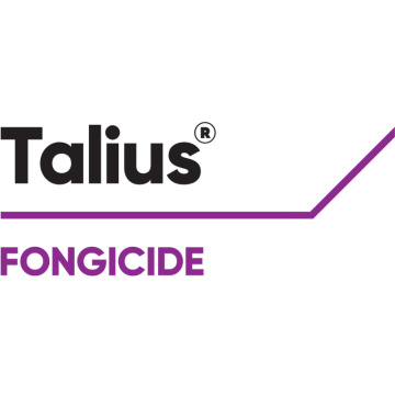 Talius® Fongicide anti-oïdium à mode d’action préventif de corteva, efficace jusqu’à 21 jours
