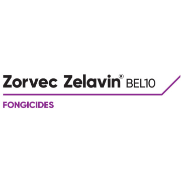Zorvec Zelavin® Bel10 est le premier représentant d’une nouvelle famille de fongicides antimildiou  pour la vigne actifs sur les champignons oomycetes. Zorvec active se distribue par translaminarité et systémie acropétale montante pour une protection plus homogène des feuilles et des grappes.